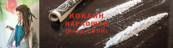 индика Абинск