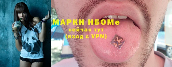 индика Абинск