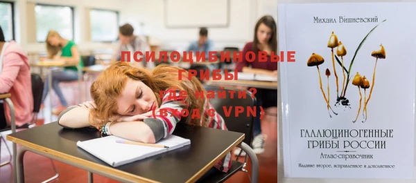 спайс Абаза