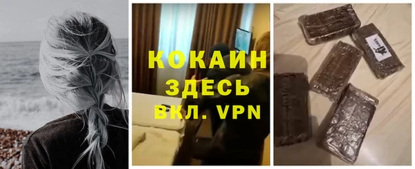 индика Абинск