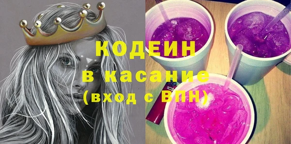 хмурый Пересвет