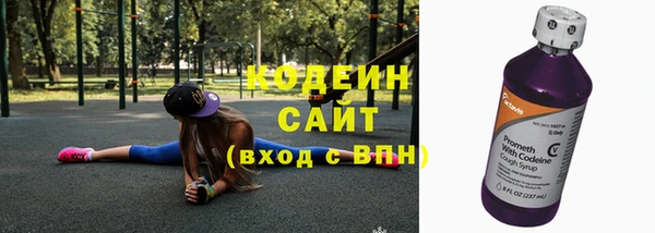 индика Абинск