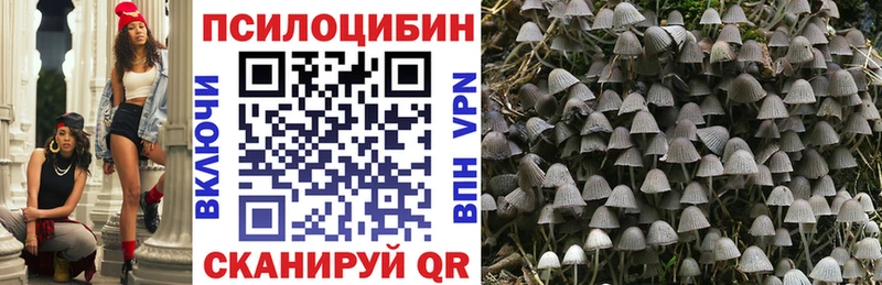 Галлюциногенные грибы Psilocybe  наркотики  Тотьма 